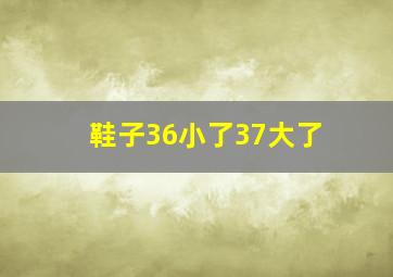 鞋子36小了37大了