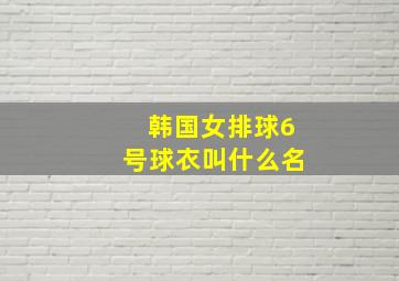 韩国女排球6号球衣叫什么名