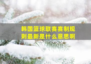 韩国篮球联赛赛制规则最新是什么意思啊