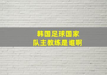 韩国足球国家队主教练是谁啊