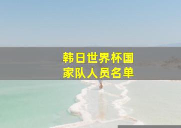 韩日世界杯国家队人员名单