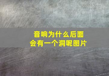 音响为什么后面会有一个洞呢图片