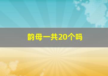 韵母一共20个吗