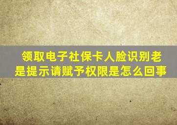 领取电子社保卡人脸识别老是提示请赋予权限是怎么回事