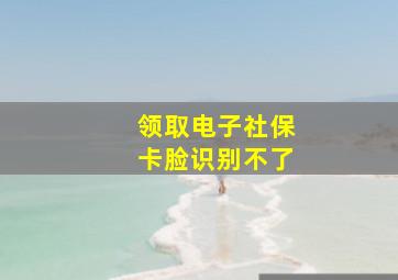 领取电子社保卡脸识别不了