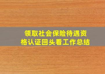 领取社会保险待遇资格认证回头看工作总结