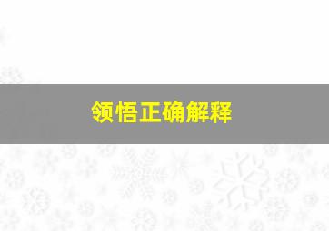 领悟正确解释