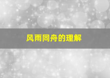 风雨同舟的理解