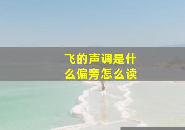 飞的声调是什么偏旁怎么读