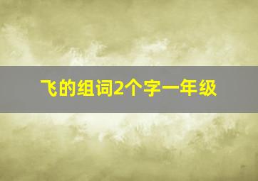 飞的组词2个字一年级