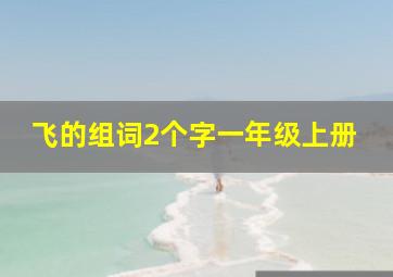 飞的组词2个字一年级上册