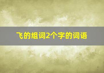 飞的组词2个字的词语