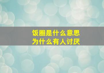 饭圈是什么意思为什么有人讨厌