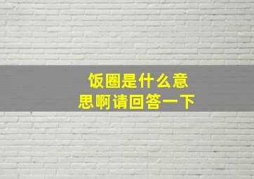 饭圈是什么意思啊请回答一下