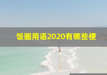 饭圈用语2020有哪些梗