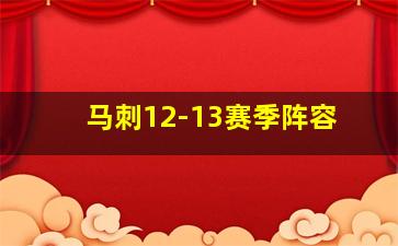 马刺12-13赛季阵容