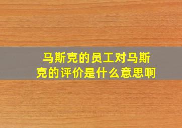 马斯克的员工对马斯克的评价是什么意思啊