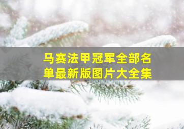 马赛法甲冠军全部名单最新版图片大全集