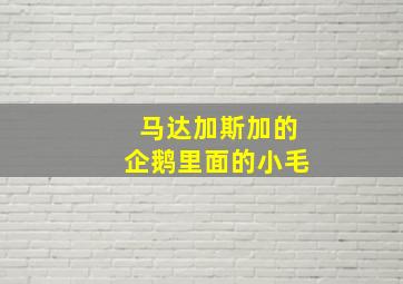 马达加斯加的企鹅里面的小毛