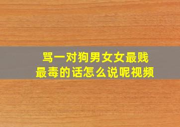 骂一对狗男女女最贱最毒的话怎么说呢视频