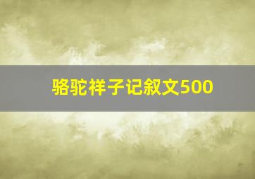 骆驼祥子记叙文500