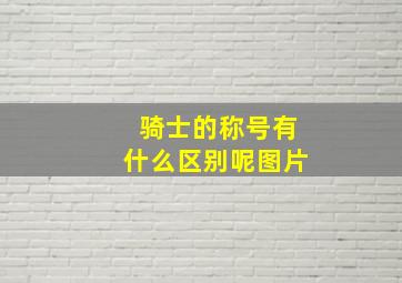 骑士的称号有什么区别呢图片