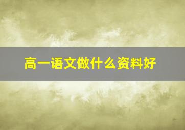 高一语文做什么资料好