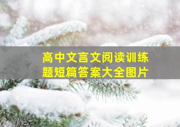 高中文言文阅读训练题短篇答案大全图片