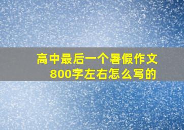 高中最后一个暑假作文800字左右怎么写的