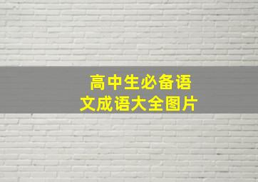 高中生必备语文成语大全图片