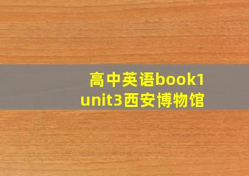 高中英语book1unit3西安博物馆