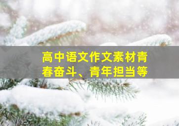 高中语文作文素材青春奋斗、青年担当等