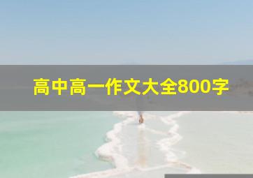 高中高一作文大全800字