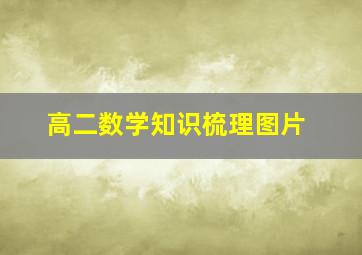 高二数学知识梳理图片