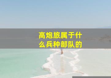 高炮旅属于什么兵种部队的