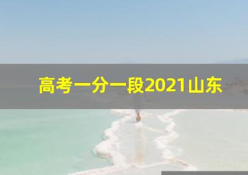 高考一分一段2021山东