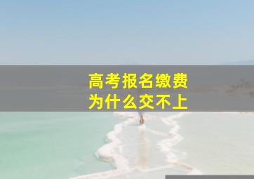 高考报名缴费为什么交不上