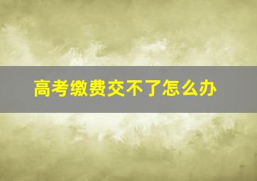 高考缴费交不了怎么办