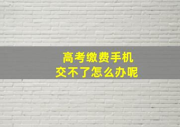 高考缴费手机交不了怎么办呢