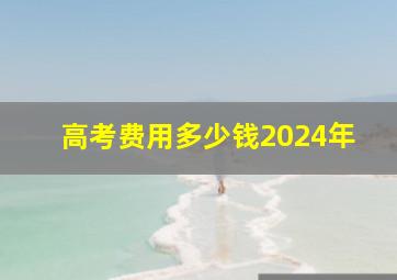 高考费用多少钱2024年