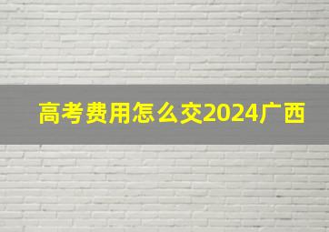 高考费用怎么交2024广西