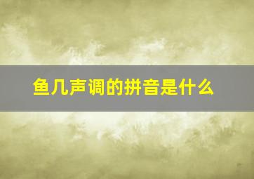 鱼几声调的拼音是什么