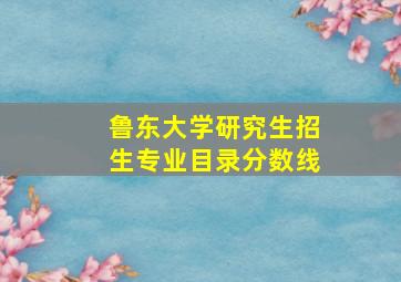 鲁东大学研究生招生专业目录分数线