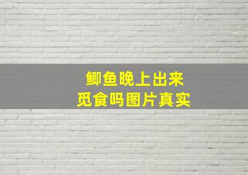 鲫鱼晚上出来觅食吗图片真实