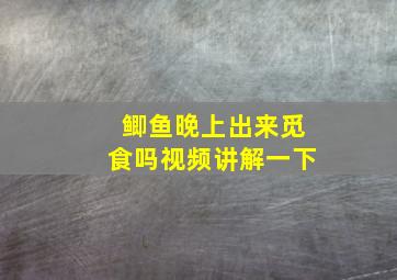 鲫鱼晚上出来觅食吗视频讲解一下