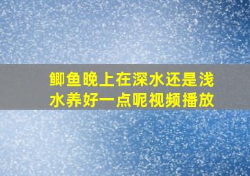 鲫鱼晚上在深水还是浅水养好一点呢视频播放