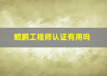 鲲鹏工程师认证有用吗