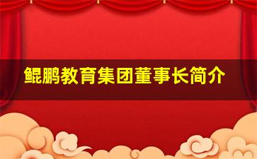 鲲鹏教育集团董事长简介