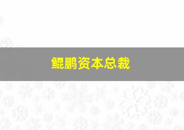 鲲鹏资本总裁