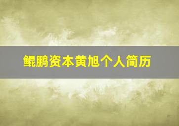 鲲鹏资本黄旭个人简历